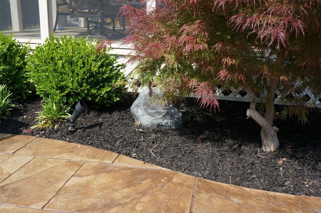 Enhancing Your Outdoor Experience: